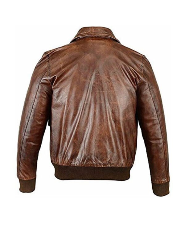 A2 Flight Aviator Leather Jacket back