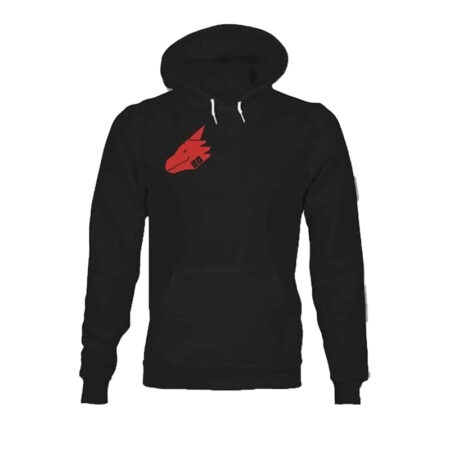 Bad Dragon Hoodie front