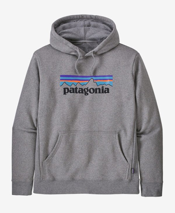 Grey Patagonia Hoodie front