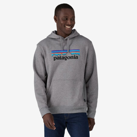 Grey Patagonia Hoodie front1