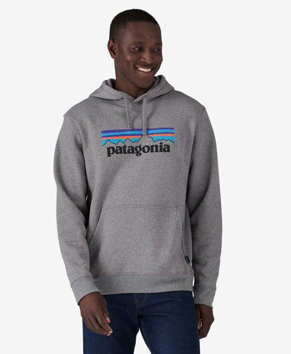 Grey Patagonia Hoodie front1