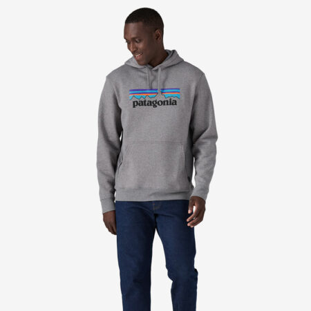 Grey Patagonia Hoodie side