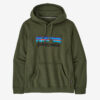 Patagonia Green Hoodie front