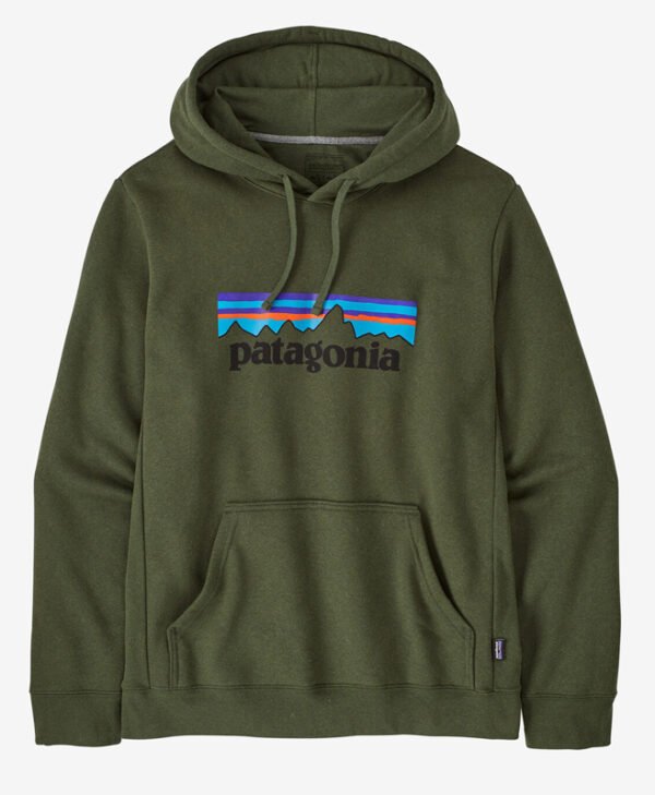 Patagonia Green Hoodie front