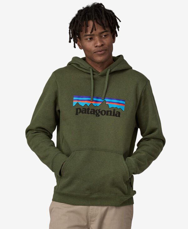 Patagonia Green Hoodie front1