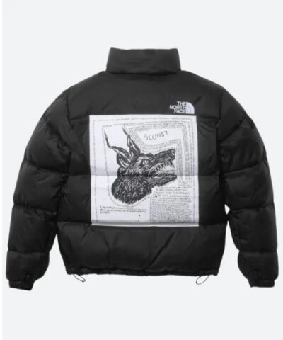 Supreme North Face Hooded Jacket back