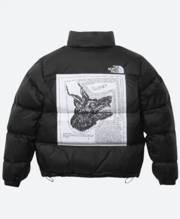Supreme North Face Hooded Jacket back