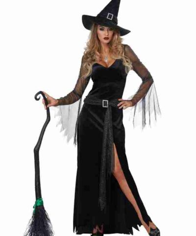 Halloween Rich Witch Womens Costume