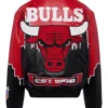Jeff Hamilton x Bulls Skyline Jacket back