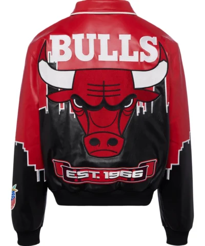 Jeff Hamilton x Bulls Skyline Jacket back