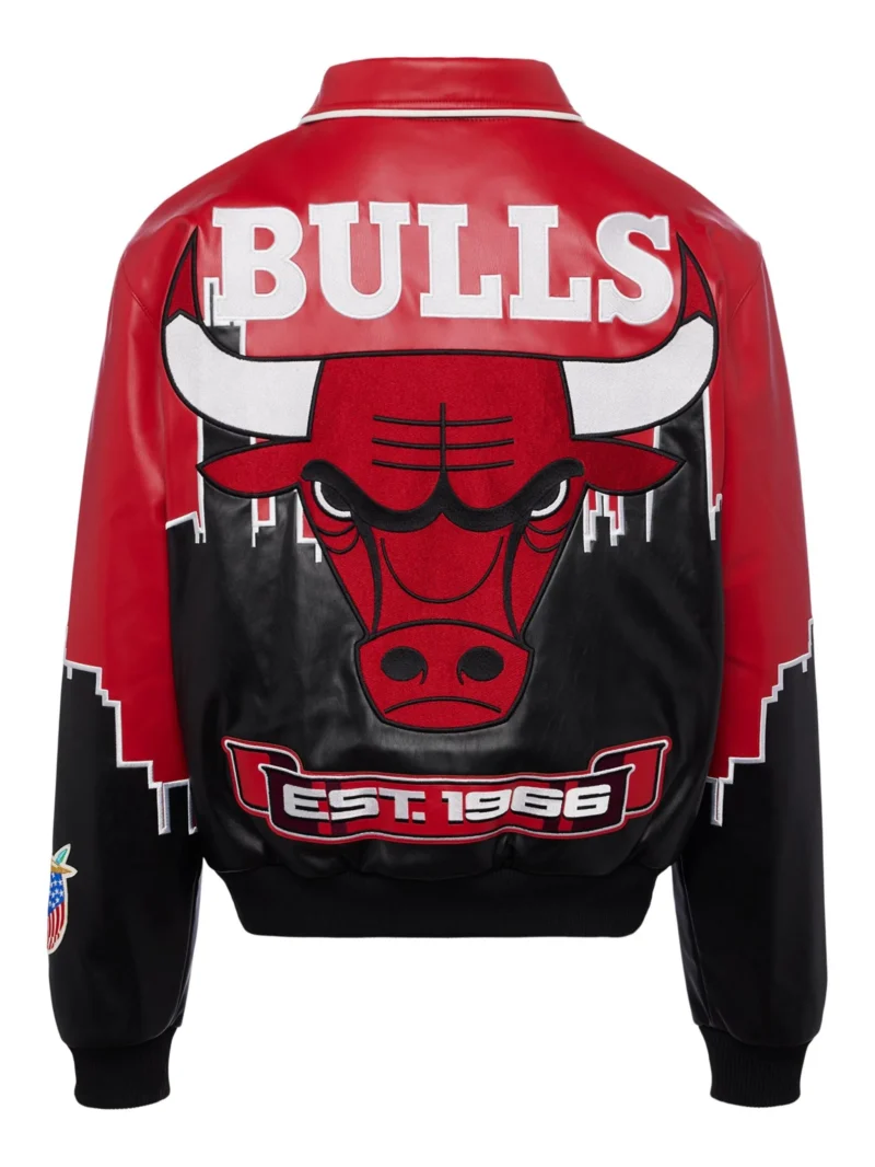 Jeff Hamilton x Bulls Skyline Jacket back