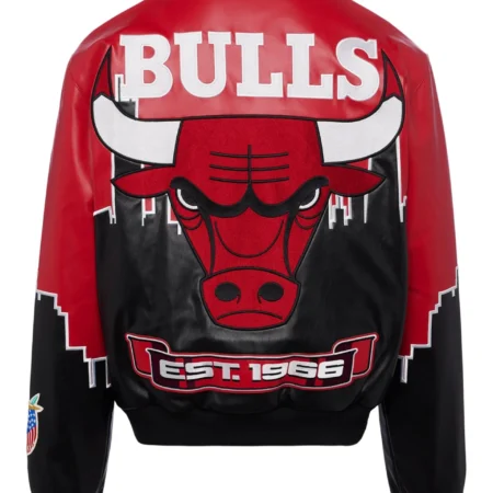 Jeff Hamilton x Bulls Skyline Jacket back