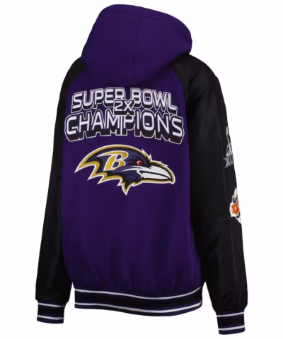 mens g iii sports by carl banks purple baltimore back
