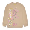 Golf-Wang-Arizona-Crewneck-Sweatshirt-Brown