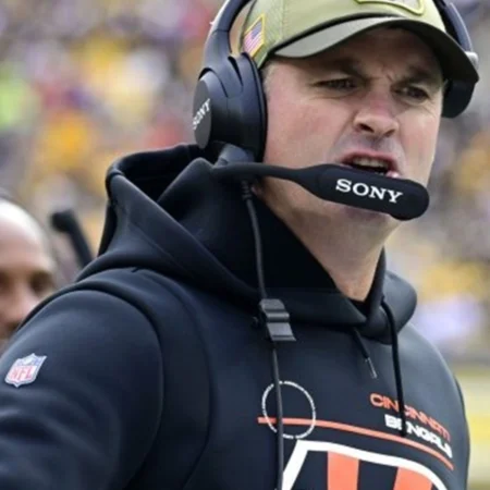 Zac Taylor Cincinnati Bengals Sideline Hoodie For Sale