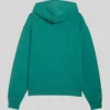 PUMA-x-Aston-Martin-Aramco-F1-Team-Green-Zip-Up-Hoodie