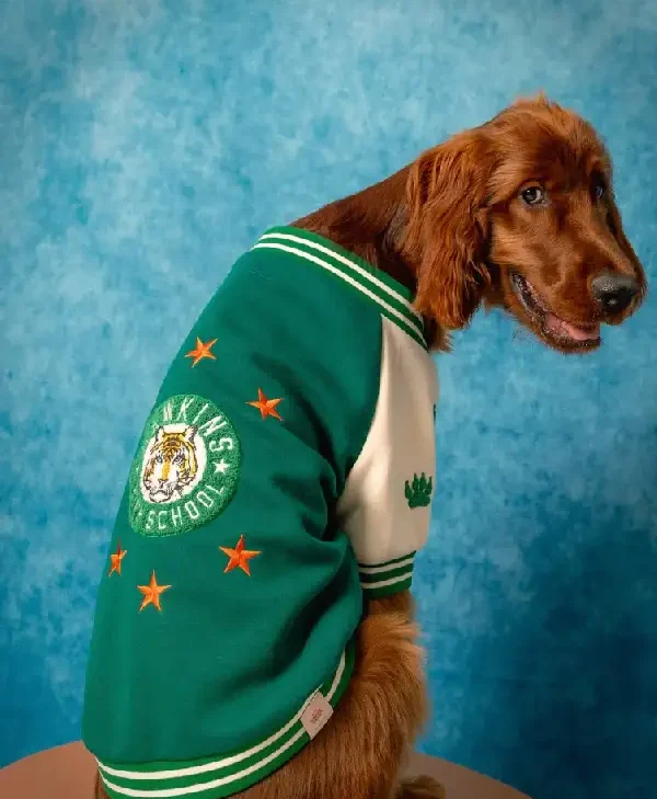 Stranger Things x maxbone Hawkins High Bomber