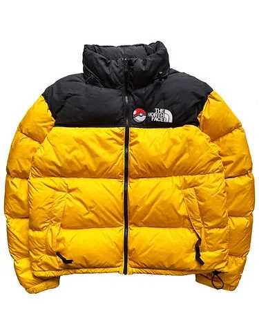 The North Face Nuptse Retro Mountain Jacket