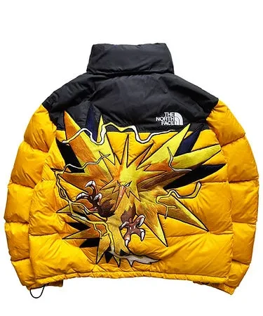 The North Face Nuptse Retro Mountain Jacket For Sale
