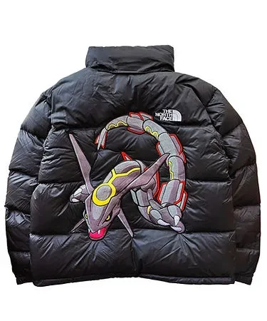 The North Face Shining Rayquaza Retro Mountain Jacket For Sale