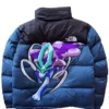 The North Face Suicune Retro Mountain Jacket For Sale