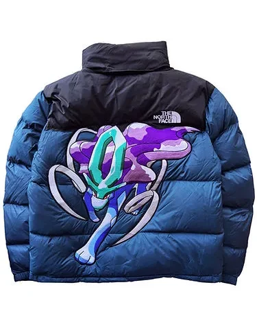 The North Face Suicune Retro Mountain Jacket For Sale