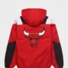 HOMAGE X Starter Bulls Pullover Jacket back