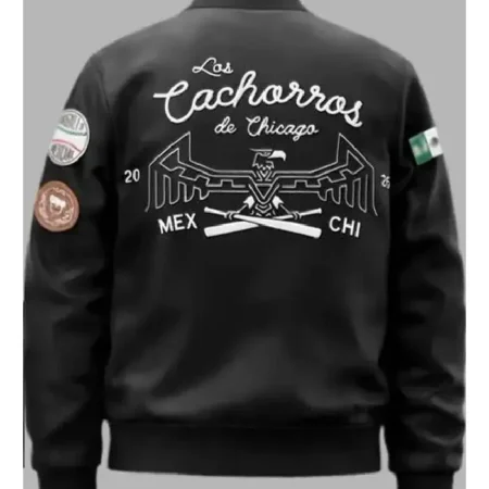 buy Chicago Cubs 2026 Varsity Leather Jacket