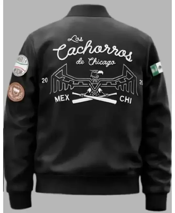 buy Chicago Cubs 2026 Varsity Leather Jacket