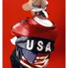 buy Txyy USA Flag Leather Jacket