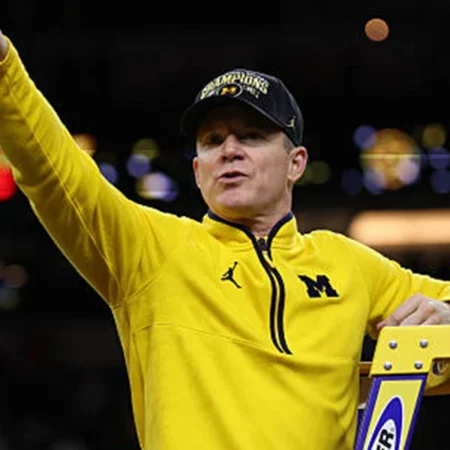 Buy Dusty May Wolverines Quarter-Zip Pullover Jacket