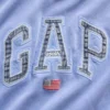 Gap Americana Logo Hoodie Buy Now